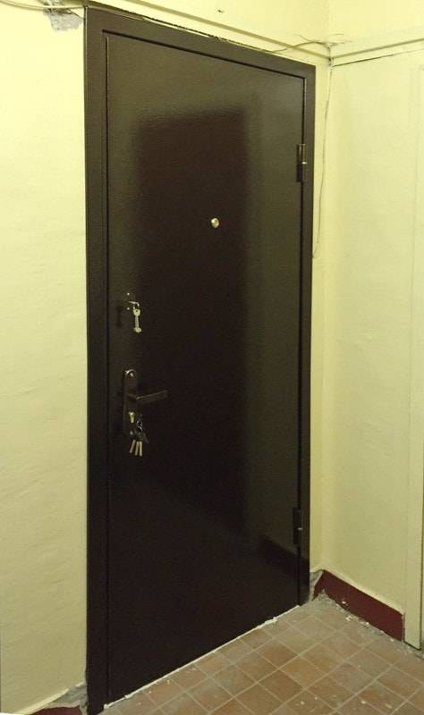 Техническая дверь черного цвета